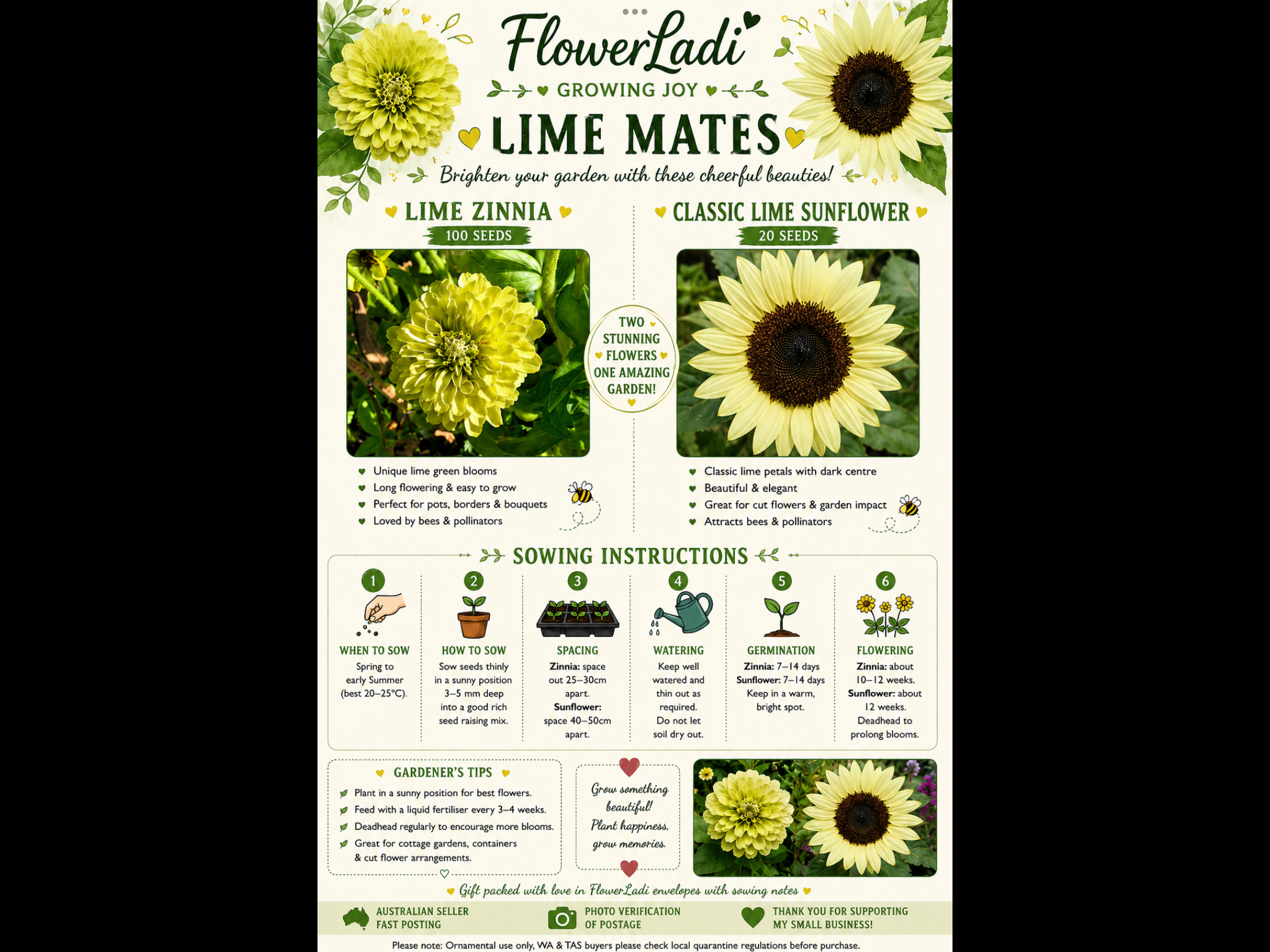 Lime Mates - Green Sunflower & Zinnia Lime Mates - Green Sunflower & Zinnia - Image 5