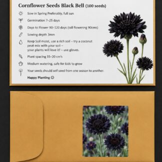 Black Cornflower (free Marigold)