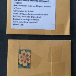 Marigold Dainty Marietta