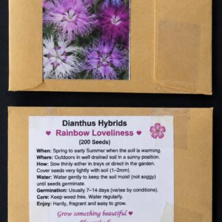 Dianthus Hybridus Rainbow Loveliness