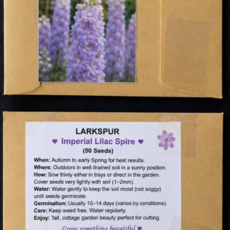 Larkspur Lilac Spire