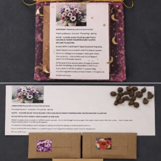 20 Anemone Corm & Seed Gift Pack