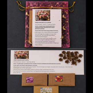 Home 20 Ranunculus Corm & Seed Gift Pack