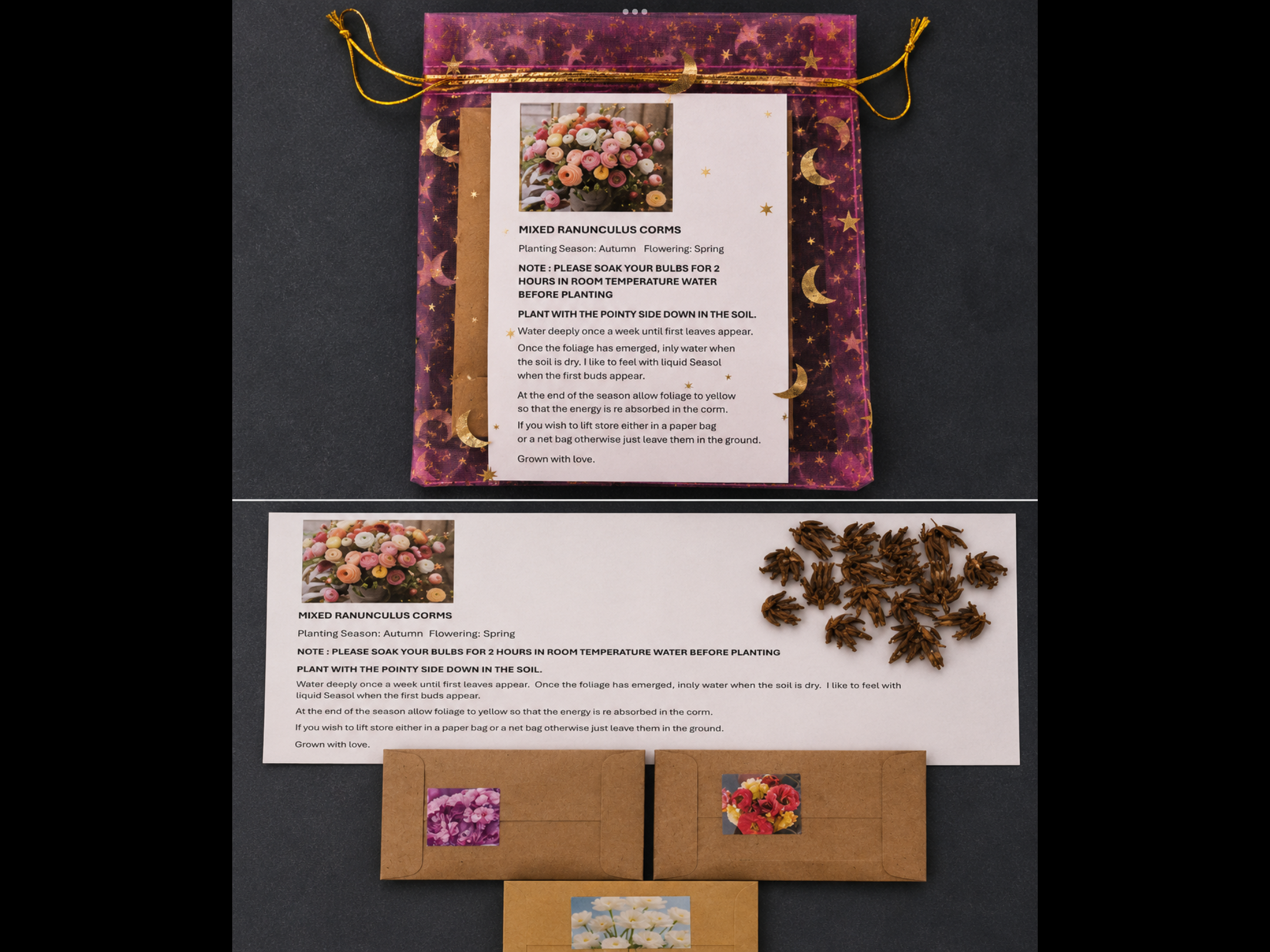 20 Ranunculus Corm & Seed Gift Pack 20 Ranunculus Corm & Seed Gift Pack