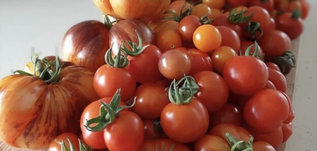 Little Potager