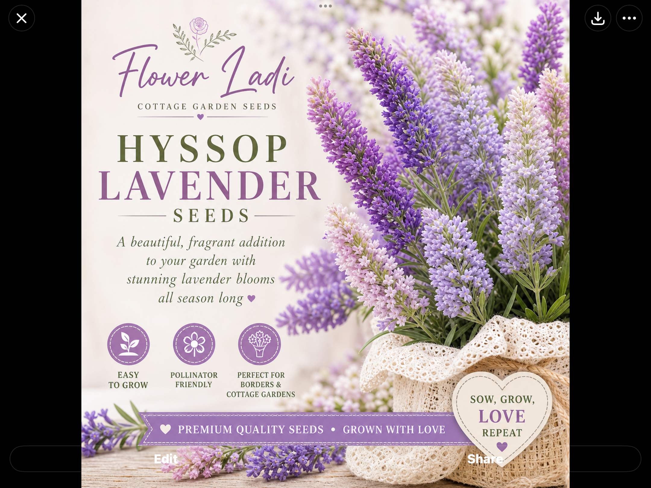 Zinnia Yellow (free Lavender Hyssop) Zinnia Yellow (free Lavender Hyssop) - Image 5