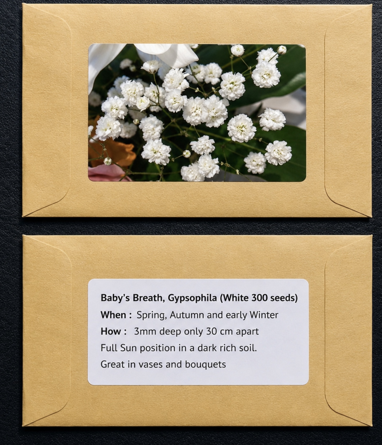 7 Mixed Tulip Bulb & Gypsum Gift Pack 7 Mixed Tulip Bulb & Gypsum Gift Pack - Image 2