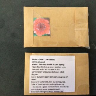 Home Coral Beauty Zinnia (free Celosia)