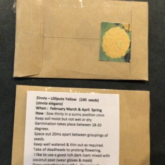 Home Zinnia Yellow (free Lavender Hyssop)