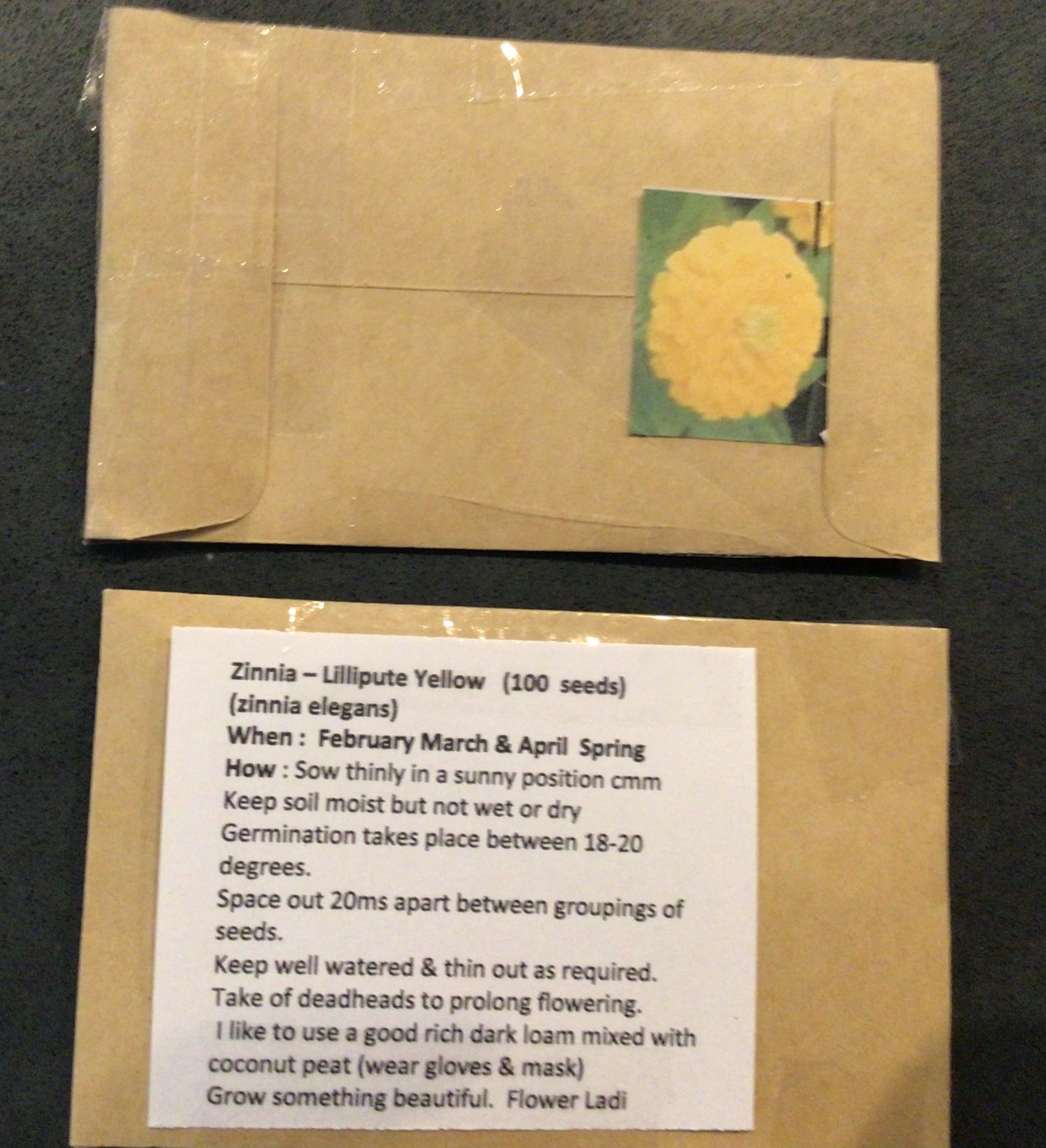 Zinnia Yellow (free Lavender Hyssop) Zinnia Yellow (free Lavender Hyssop)