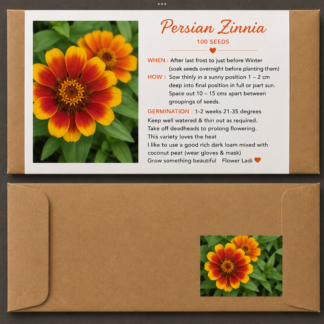 Home Persian Zinnia (free Hyssop)