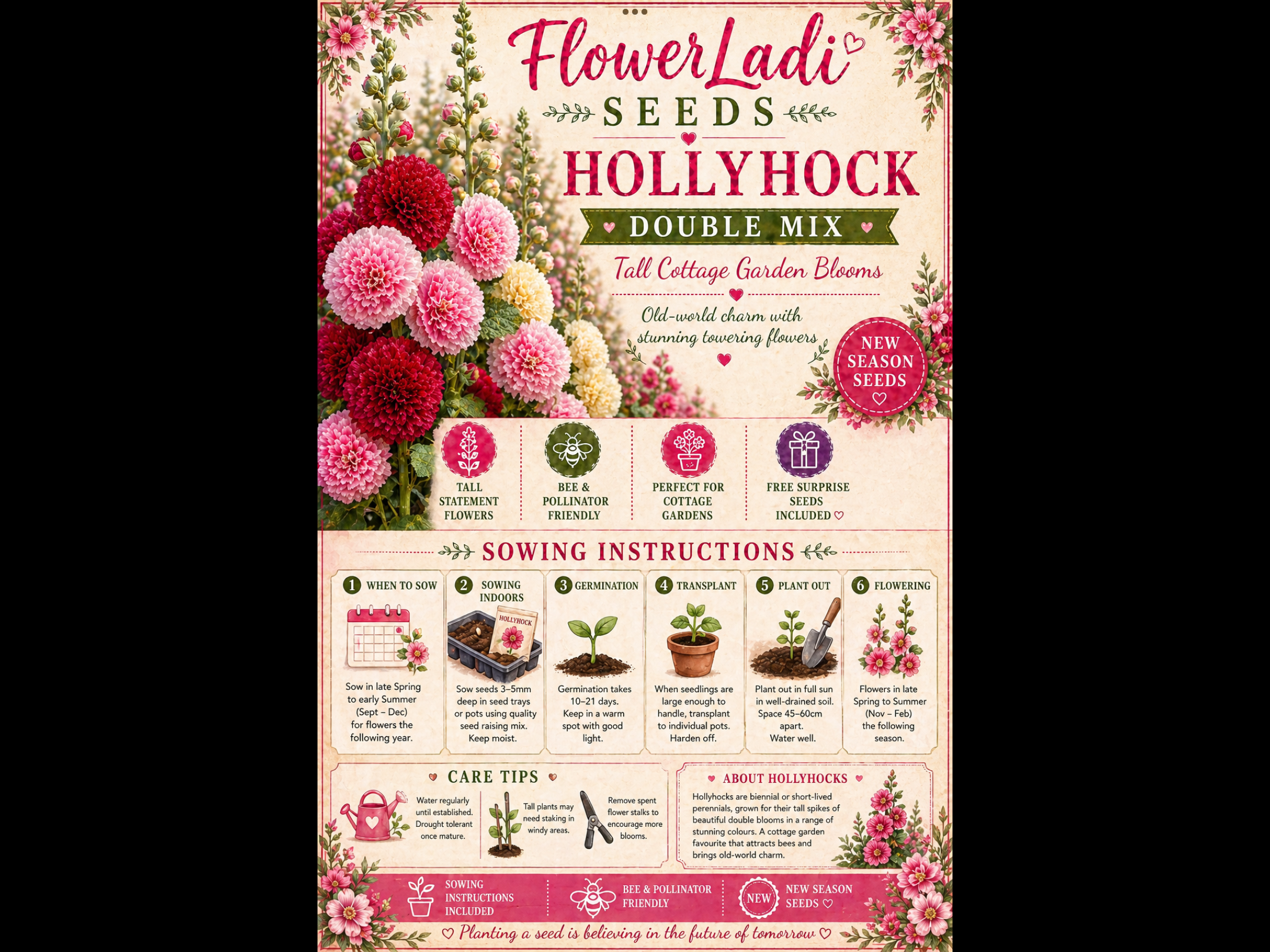 Hollyhock Marjorette Champagne Hollyhock Marjorette Champagne - Image 5