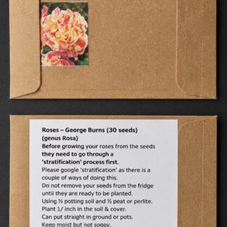 George Burns Rose