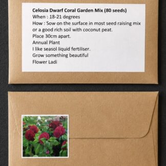 Celosia (2 For 1)