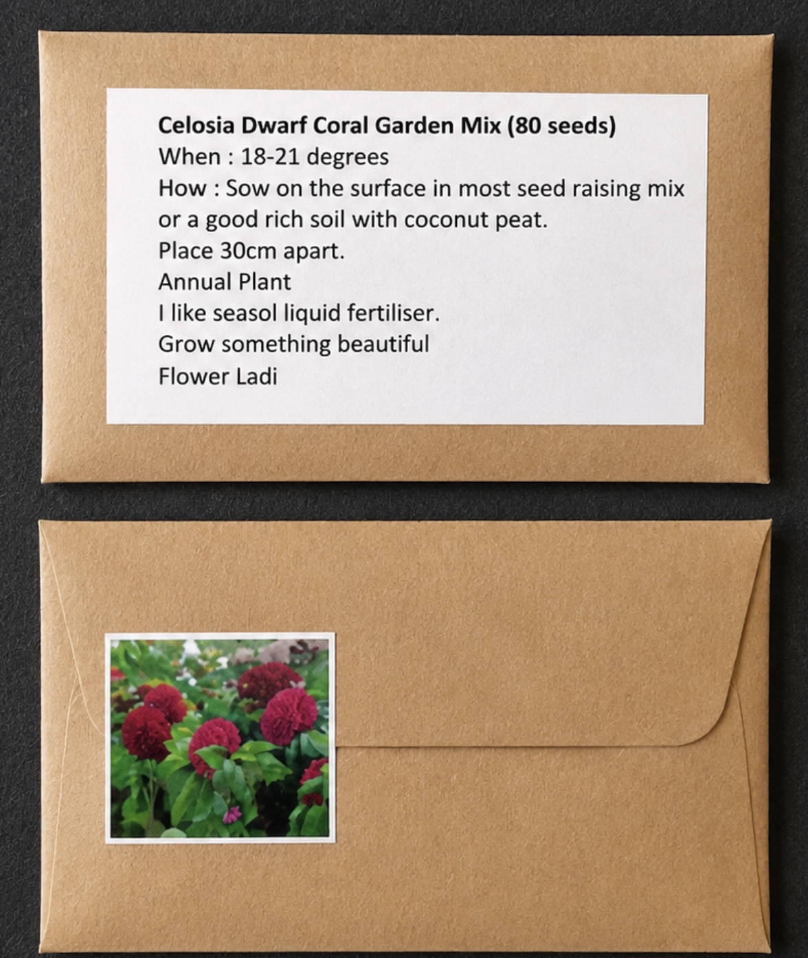 Celosia (2 For 1) Celosia (2 For 1)