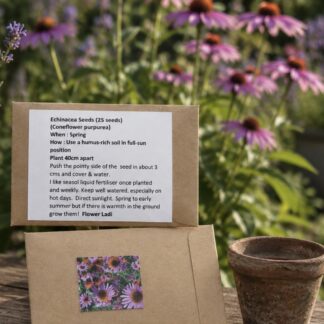Coneflower Echinacea (free Snapdragons)