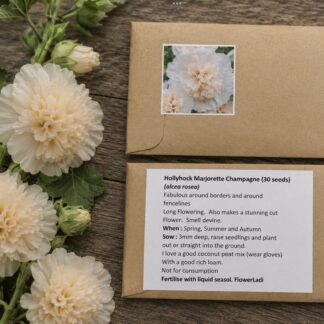 Hollyhock Marjorette Champagne