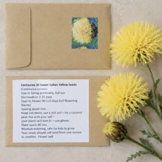 Home Centaurea Sweetpea Sultan (free Marigold)