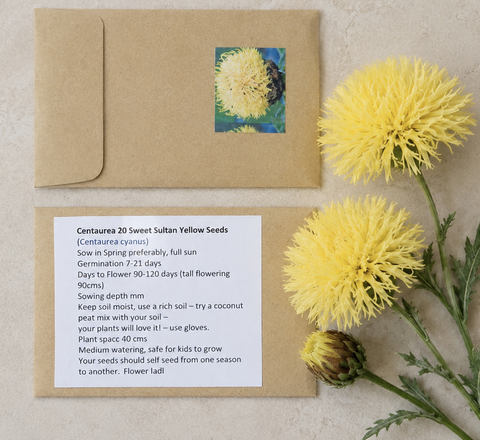 Centaurea Sweetpea Sultan (free Marigold) Centaurea Sweetpea Sultan (free Marigold)