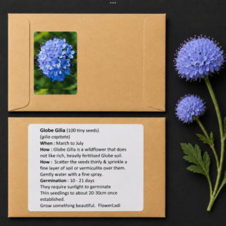 Globe Gilia