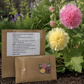 Mixed Double Hollyhock (free Marigold)
