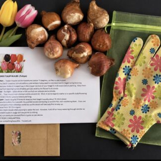 Spring & Summer 10 Tulip & Seed Gift Pack