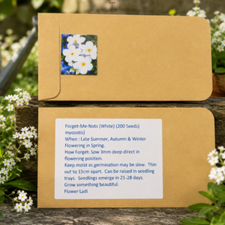 Forget Me Nots (200 pack)