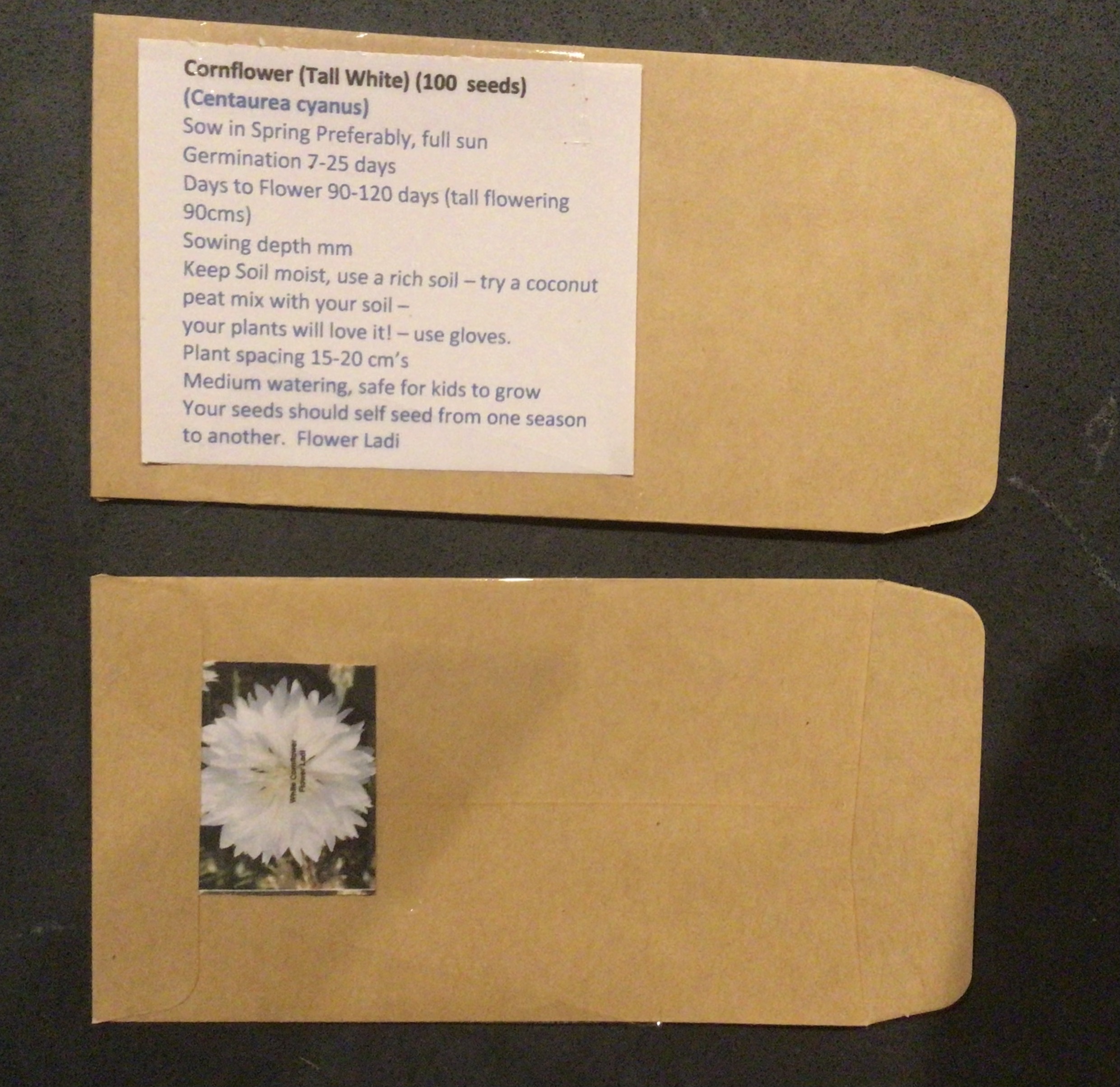 White Cornflower White Cornflower - Image 3