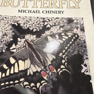Home Life Story Butterfly