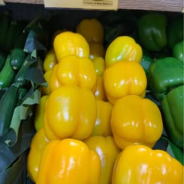 2 Established Yellow Capsicum Potted Plants 2 Established Yellow Capsicum Potted Plants - Image 2