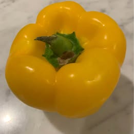 2 Established Yellow Capsicum Potted Plants 2 Established Yellow Capsicum Potted Plants - Image 9