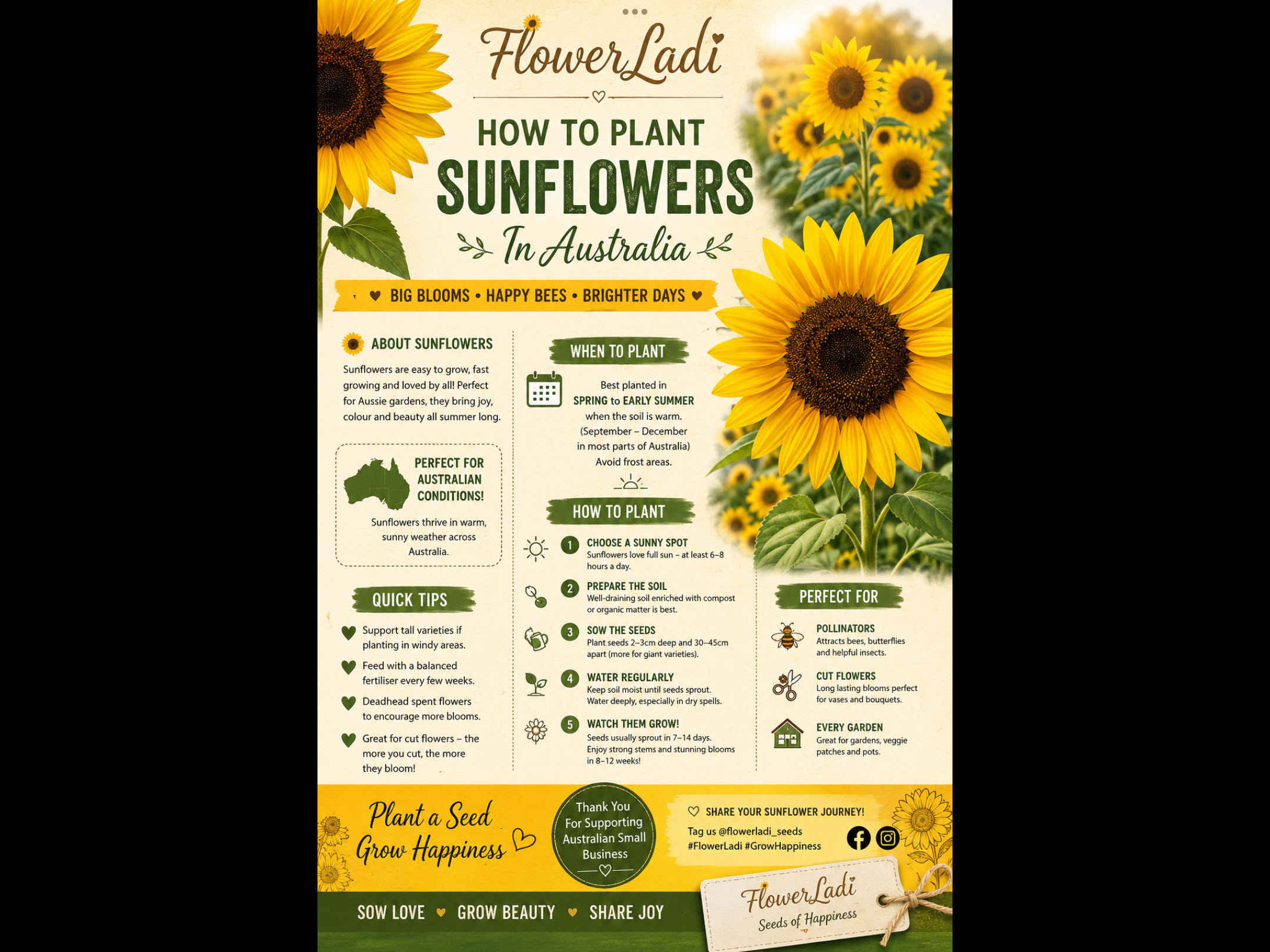 Branching Yellow Sunflower Branching Yellow Sunflower - Image 4