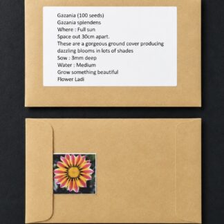 Gazania