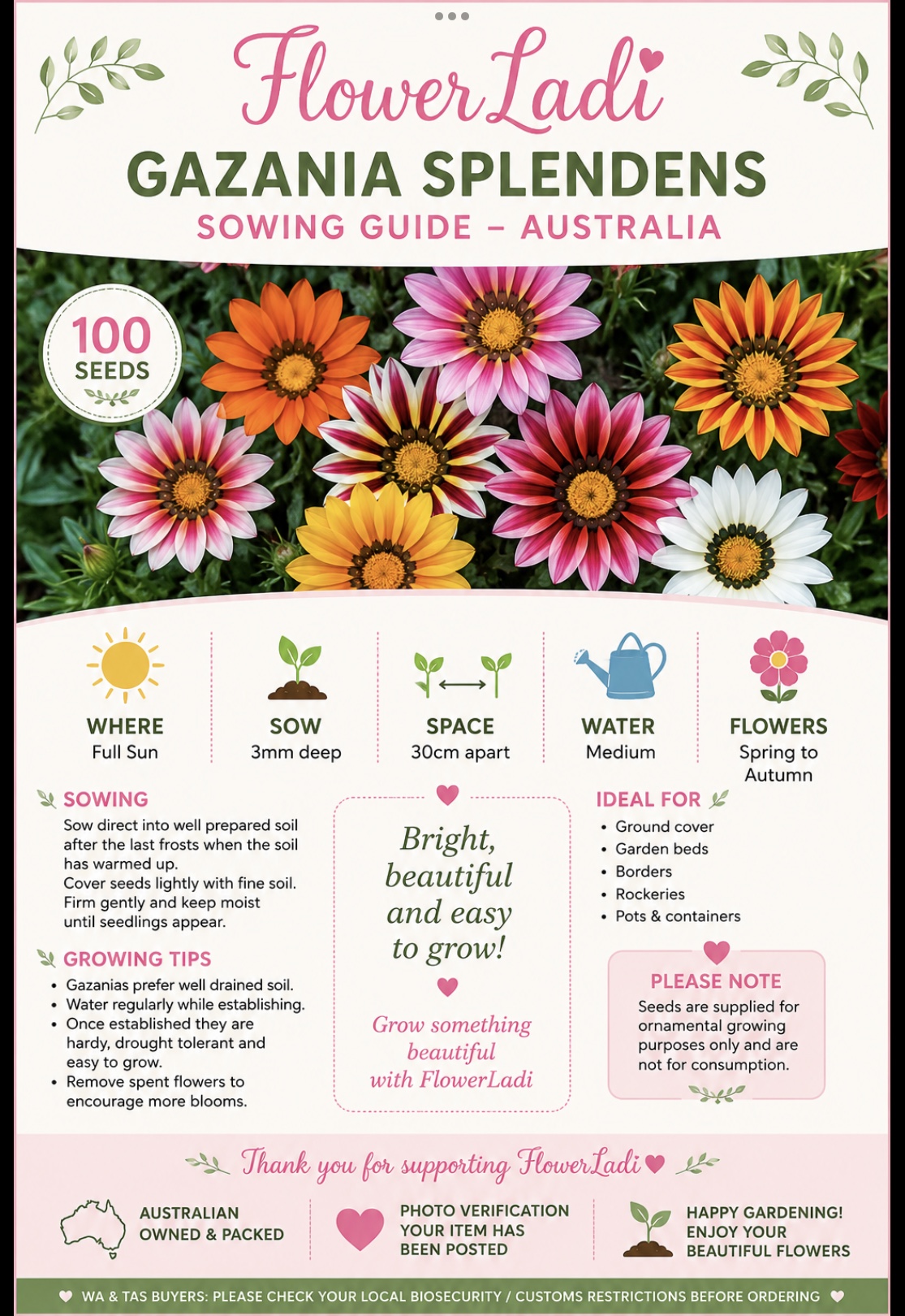 Gazania Gazania - Image 5