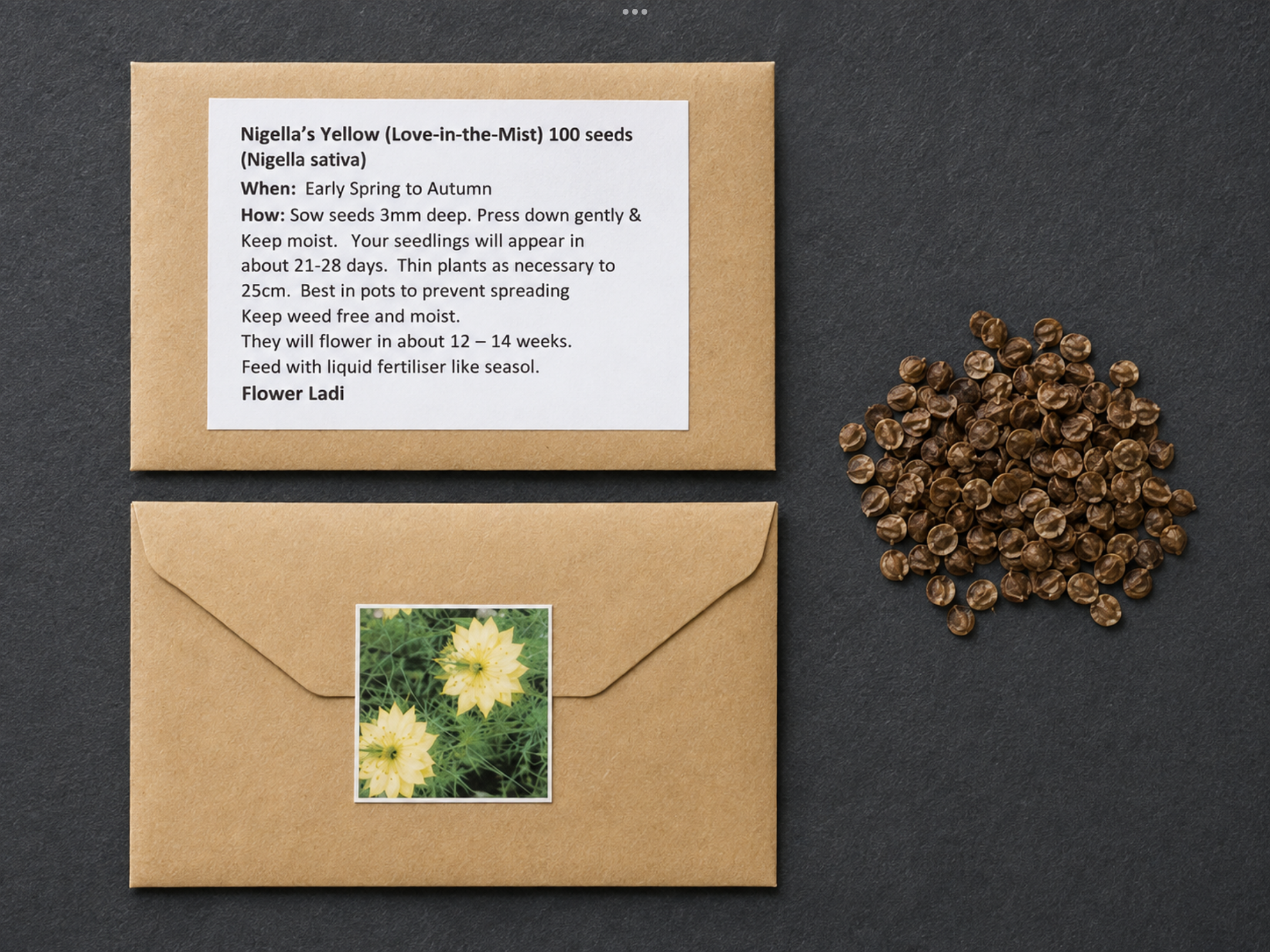 Yellow Nigella Yellow Nigella