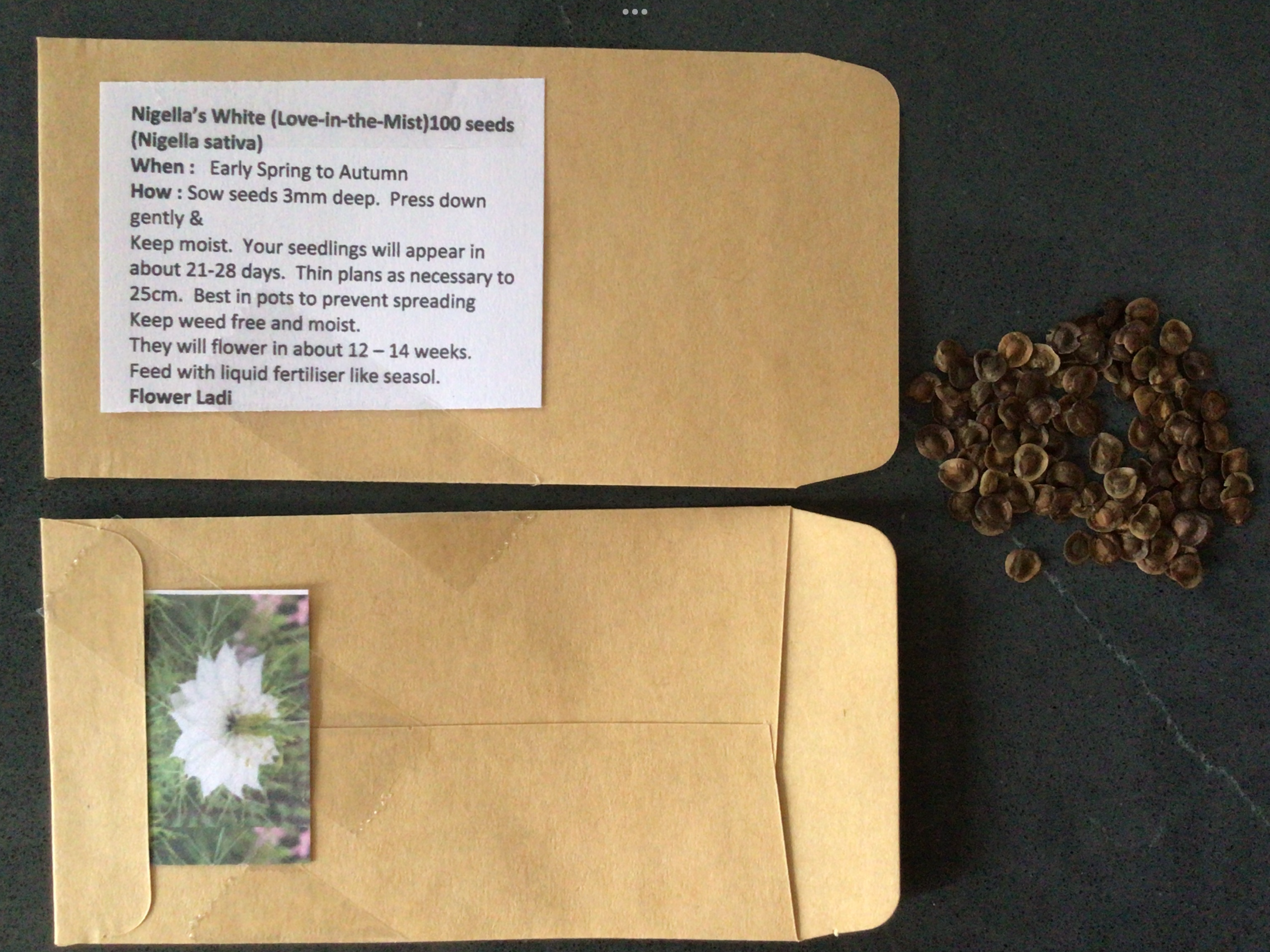 White Nigella White Nigella