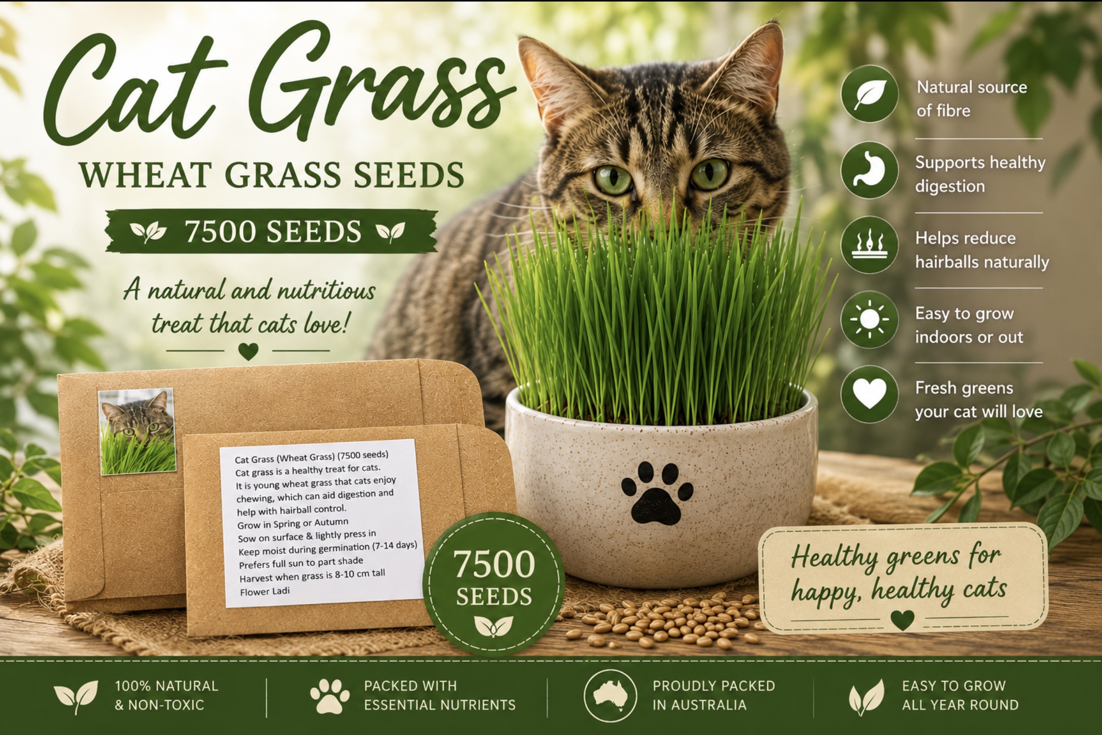 Cat Grass Cat Grass - Image 3