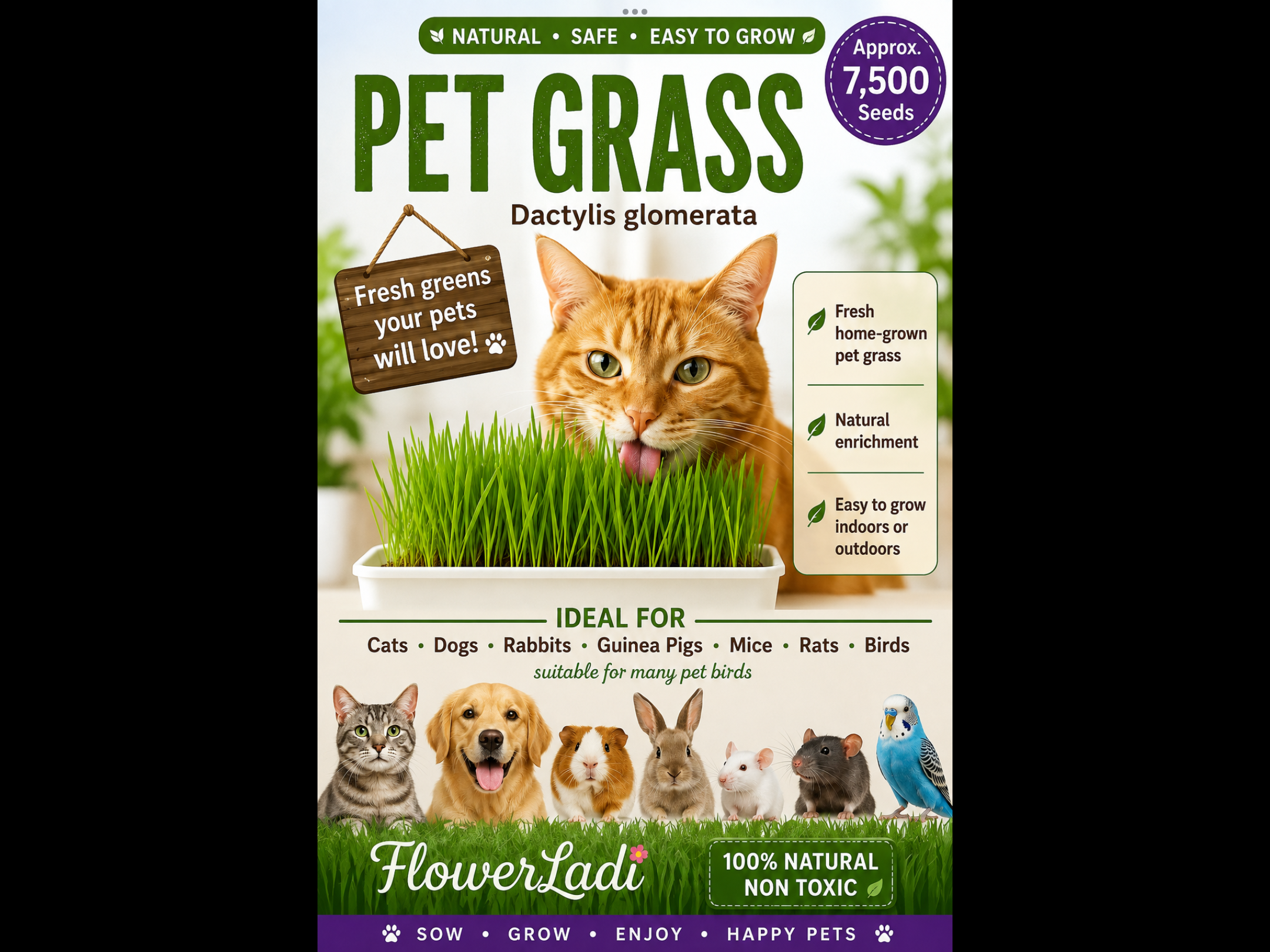 Pet Grass Pet Grass - Image 2