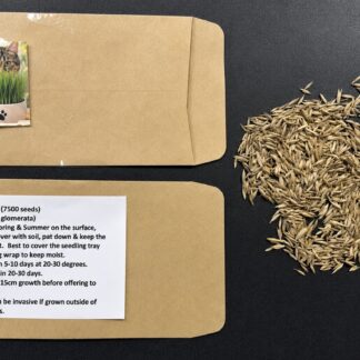 Cat Grass