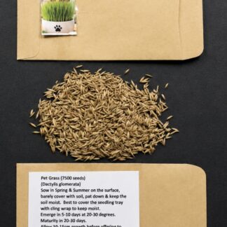 Pet Grass