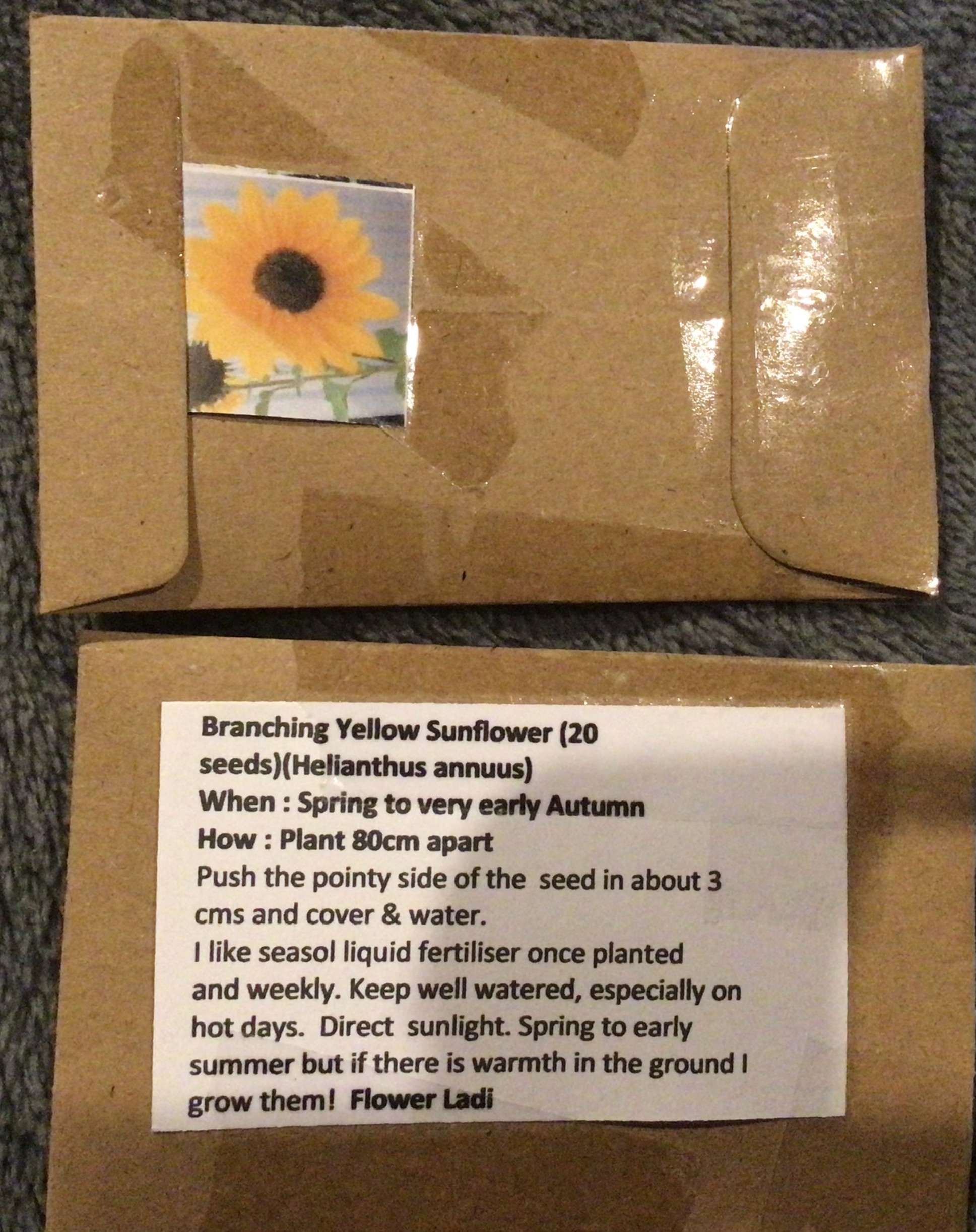 Branching Yellow Sunflower Branching Yellow Sunflower - Image 3