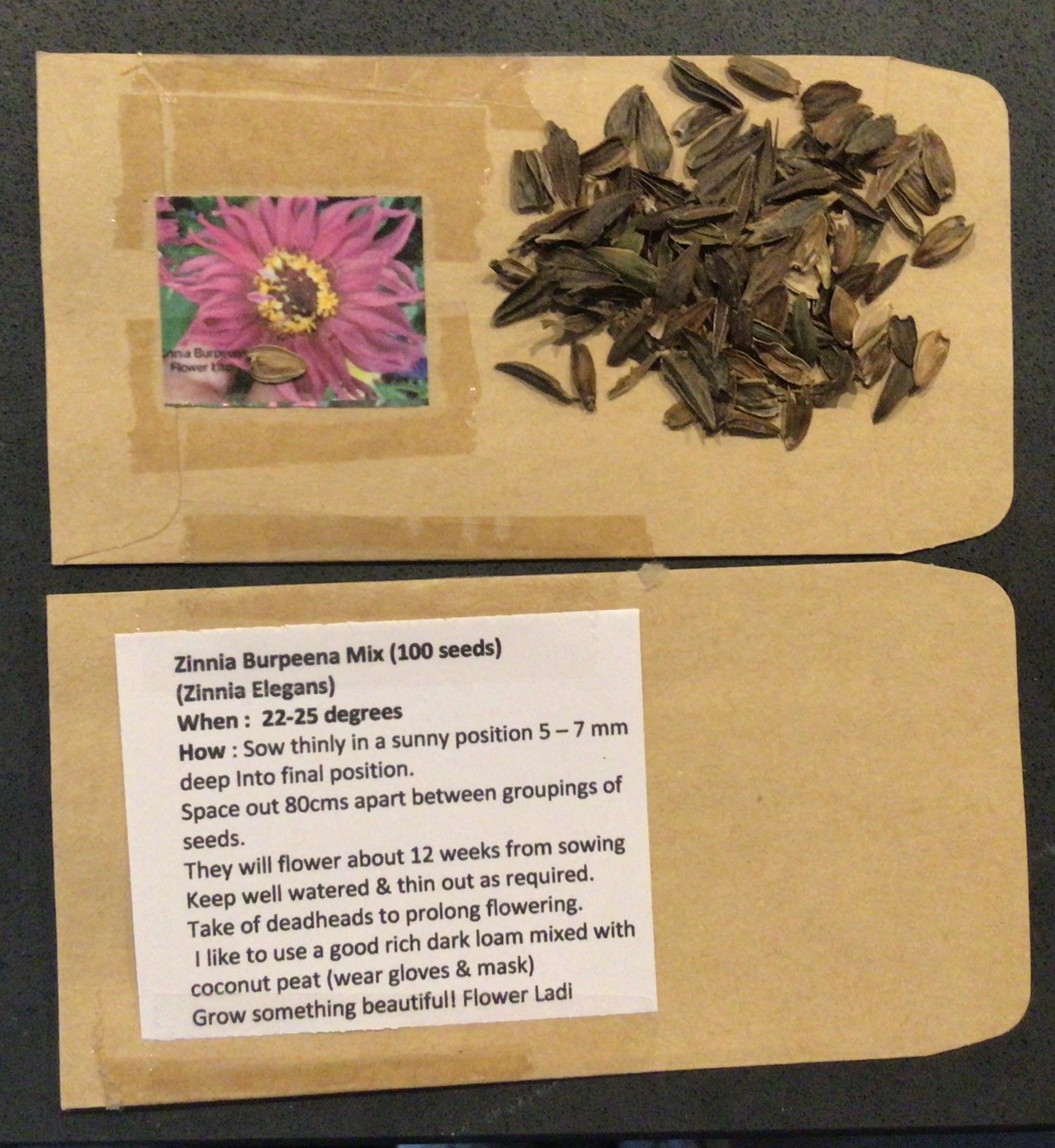 Burpeena Zinnia Burpeena Zinnia - Image 4