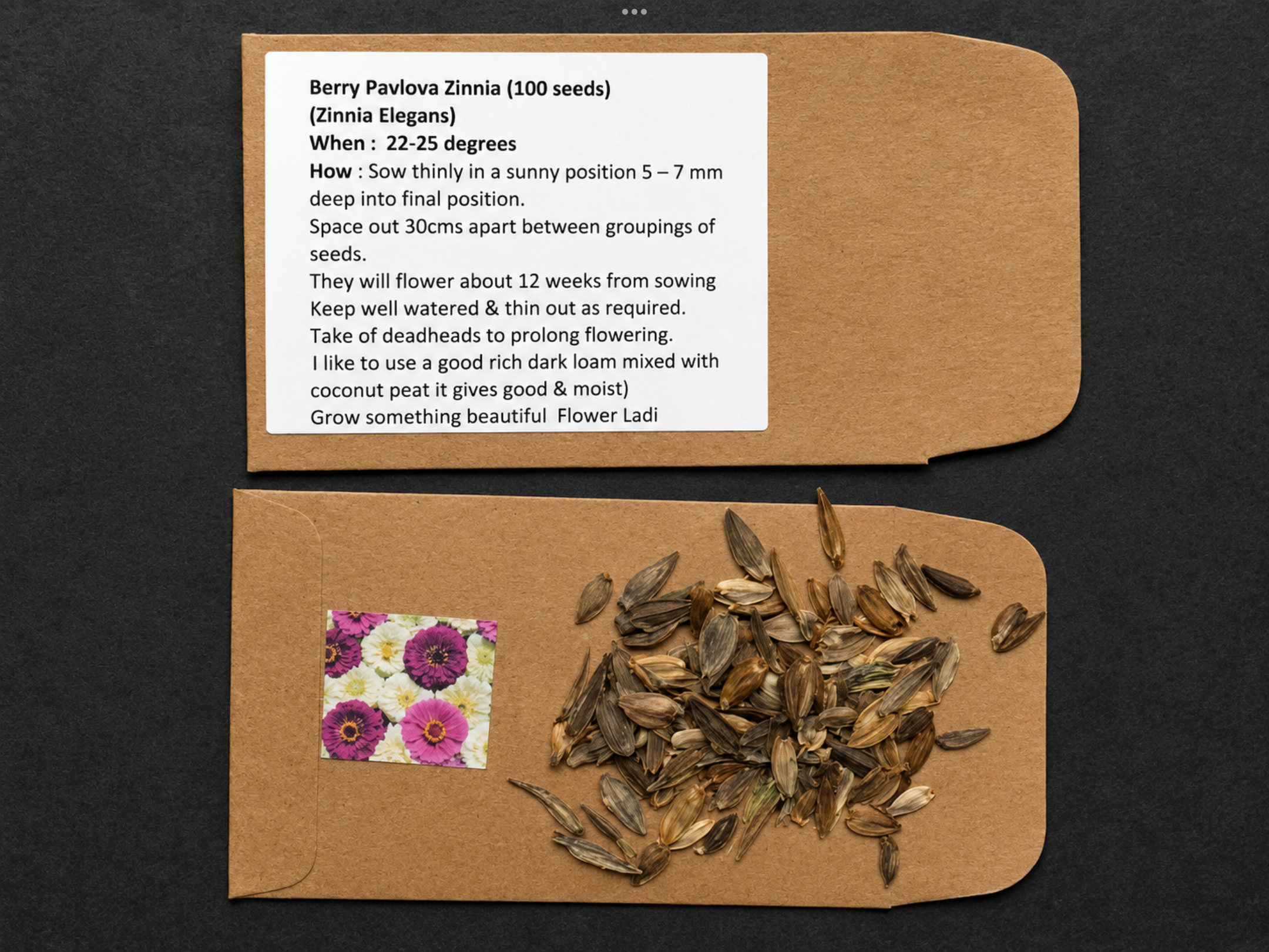 Berry Pavlova Zinnia (free Aster Gusford) Berry Pavlova Zinnia (free Aster Gusford)