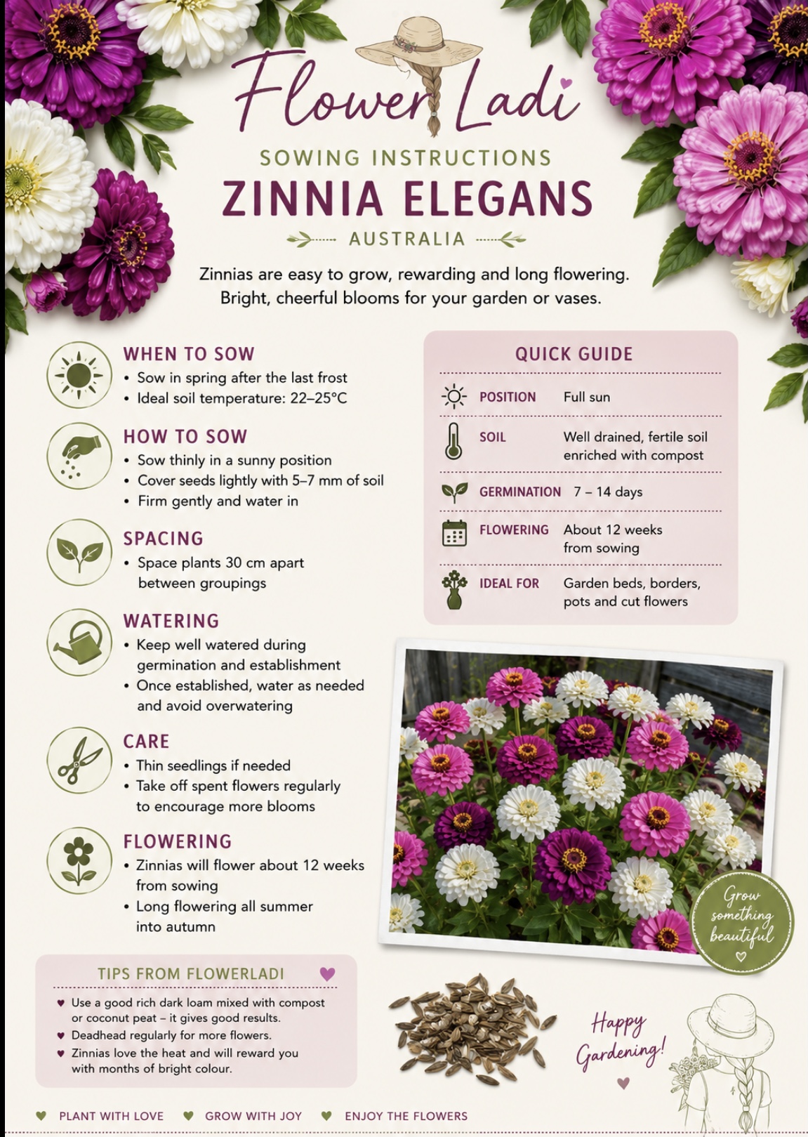 Burpeena Zinnia Burpeena Zinnia - Image 5
