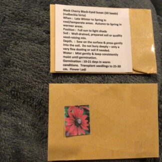 Home Blackeyed Susan Black Cherry