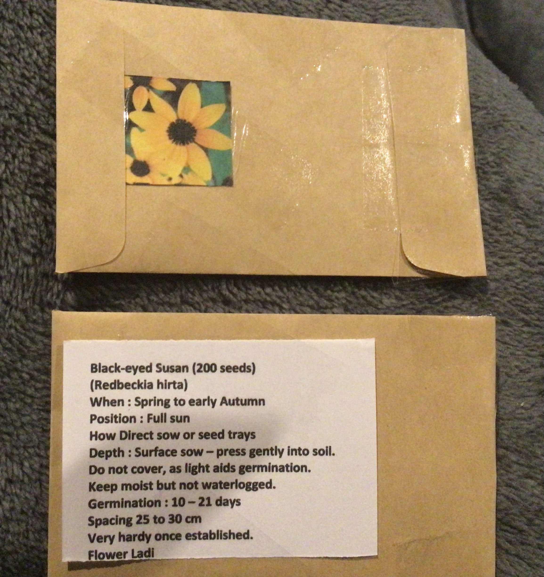 Blackeyed Susan (500 Pack) Blackeyed Susan (500 Pack)