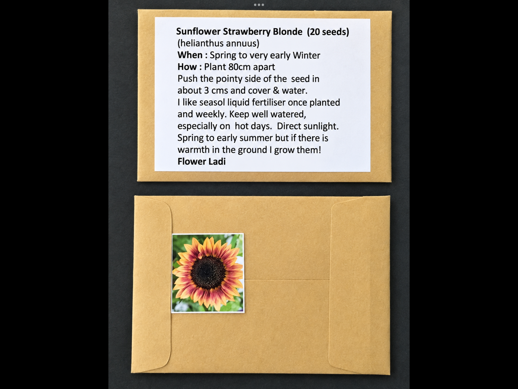 Strawberry Blonde Sunflowers (free Asters) Strawberry Blonde Sunflowers (free Asters) - Image 7