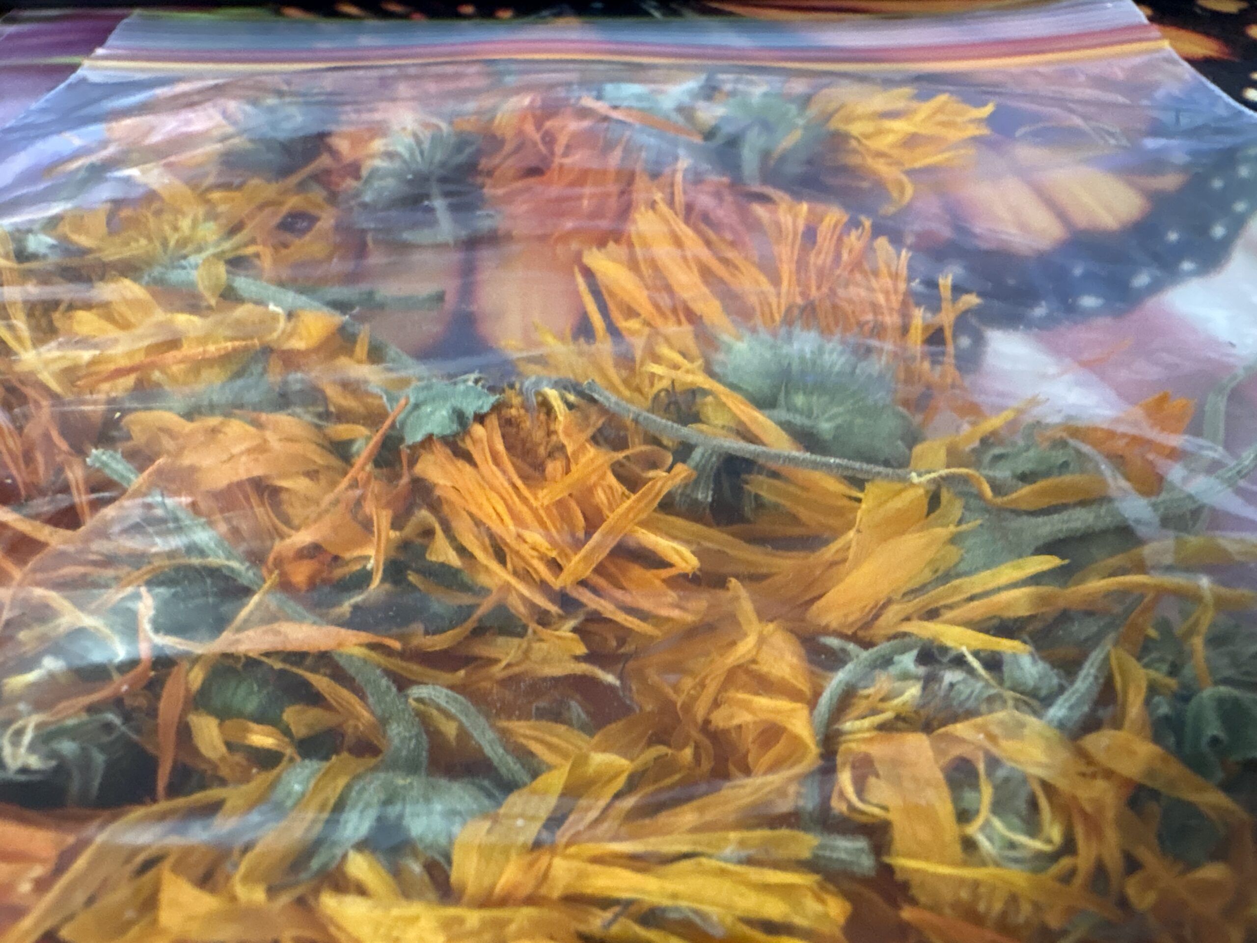 Calendula Pot Marigold Whole Dried Flower Calendula Pot Marigold Whole Dried Flower